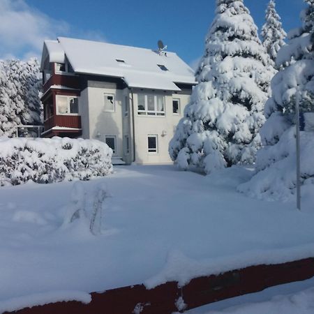 Ferienwohnung Sonnenblume Hohegeiß Exterior foto